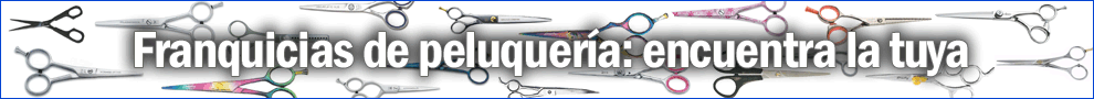 Encuentra tu franquicia