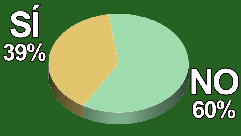 ¿Pones en práctica alguna acción de promoción para el Singles Day?