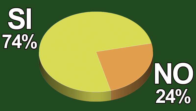 ¿Personalizas tus servicios para tu público objetivo?
