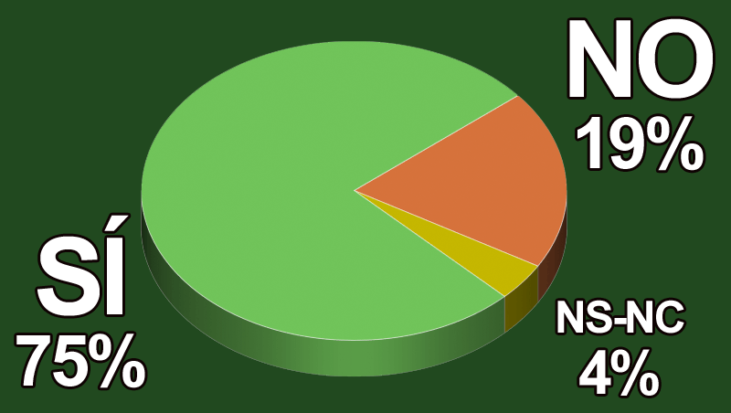 ¿Sueles formarte en otras especialidades más allá de la estética?