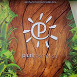 Pluricosmtica: lder no mercado de cosmtica
