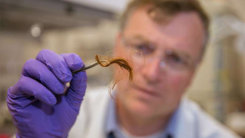 El cabello, posible alternativa al ADN en investigaciones policiales