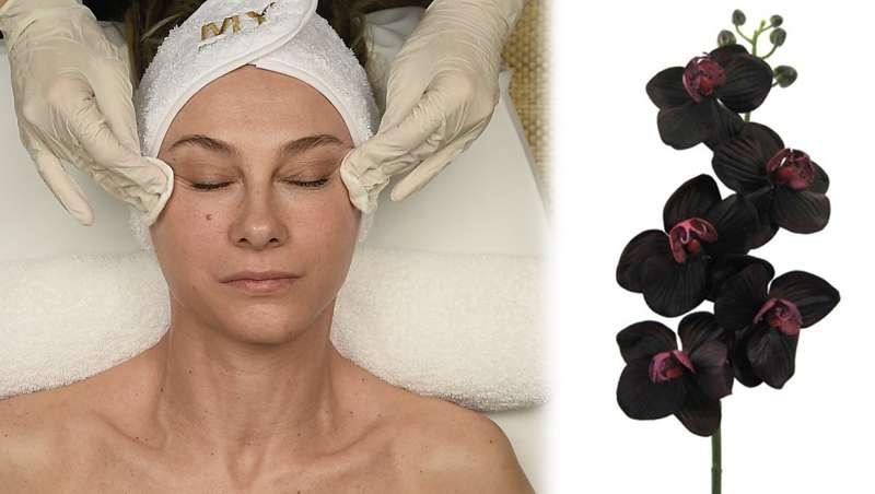 Black Orquid Jewel Limited Edition, tratamiento especial de Navidad