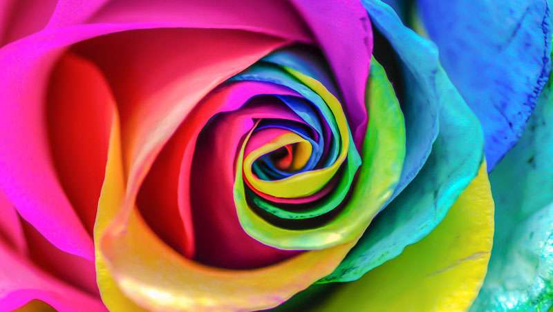 La diversidad de gnero se abre paso en el sector