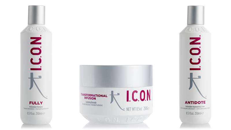 Aporta fuerza y vitalidad al cabello con la lnea Regimedy Antioxidante