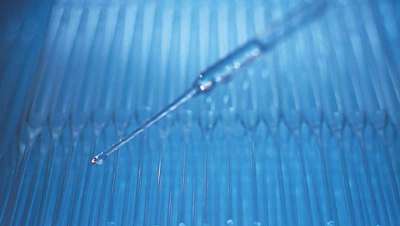 FOX04-DRI, a proteína que restaura o cabelo e combate o envelhecimento