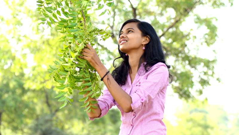 Juventud en la piel: las propiedades del rbol de Neem