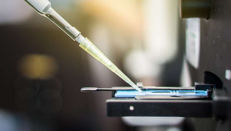 Os parabenos nos cosmticos podem danificar o esperma e a fertilidade masculina