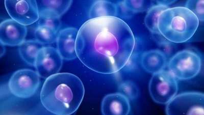 Simposio sobre tecnología de células madre