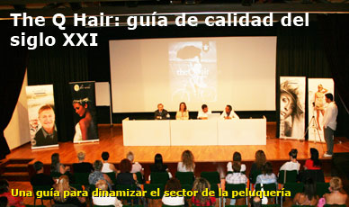The Q Hair: gu�a de calidad del siglo XXI