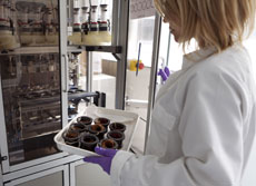 Nuevo Centro de Investigaci�n L'Or�al.