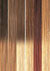 
La tendencia que est� haciendo historia llega a las extensiones para que el cambio de look sea completo, ganando cent�metros y volumen en la melena y a�adiendo un plus de modernidad y color. �
