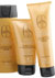 El sol, el cloro y la sal ya no ser�n un obst�culo para que el cabello luzca con una aspecto sano con el nuevo tratamiento de Lendan. �