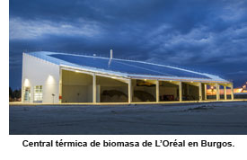 Planta biomasa L'Oréal en Burgos
