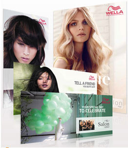 Wella Style Vision