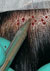 tecnicas de peluqueria