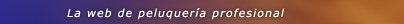peluqueria profesional