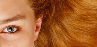 Informaci&oacute;n pr&aacute;ctica para el profesional peluquero