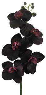 Black Orquid Jewel Limited Edition, tratamiento especial de Navidad de Maribel Yébenes