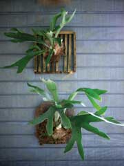 En pro de la sostenibilidad y la tecnología: [ comfort zone ]