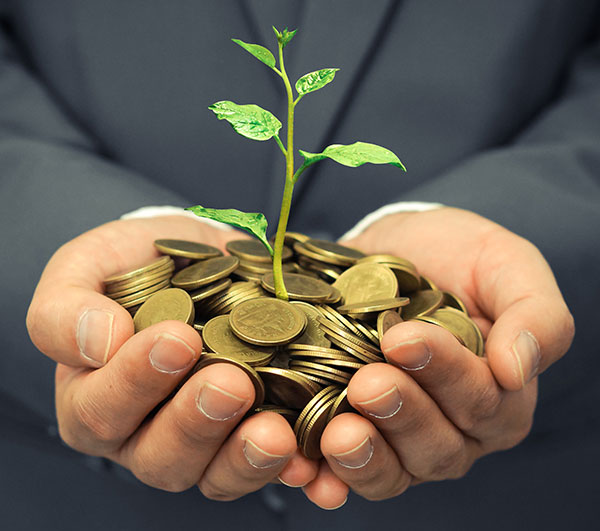 La percepción de los consumidores y sus elecciones de compra