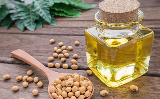 La soja, mucho más que nutrición