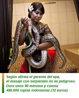 Masajes de serpientes contra el estrés
