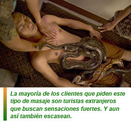 Masajes de serpientes contra el estrés
