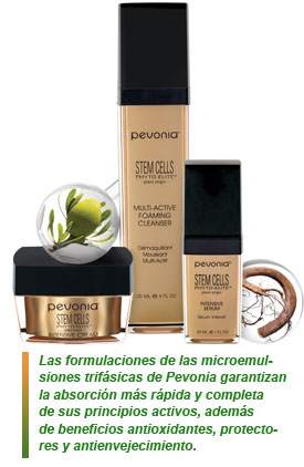 Línea Células Madre de Pevonia