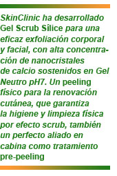 Gel Scrub Silice de Skin Clinic
