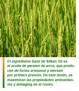 Silken Oil, el aceite de germen de arroz
