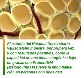 Luchar contra la lipoinflamación para eliminar la obesidad