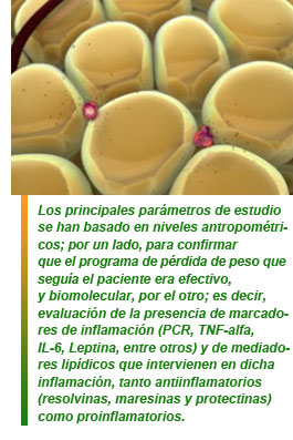 Luchar contra la lipoinflamación para eliminar la obesidad