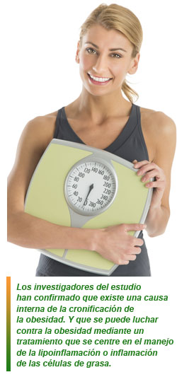 Luchar contra la lipoinflamación para eliminar la obesidad