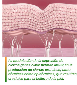 Crème Parfaite 3 Ors, de Carita