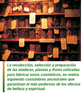 Aceites esenciales Tacussel