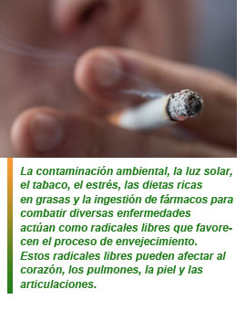 Dieta rica en antioxidantes