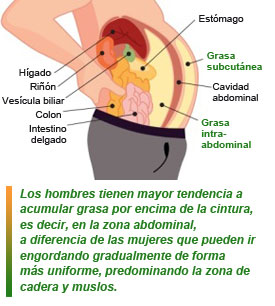Combatir la grasa en los hombres