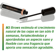 M2 Brows