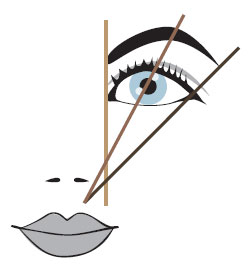 diseño de las cejas