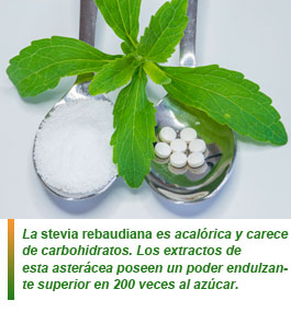 La stevia: edulcorante de uso común