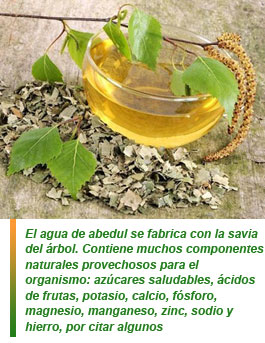 Agua de abedul