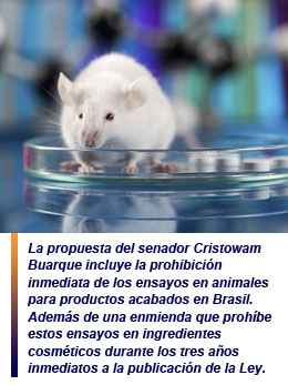 Ley que impide los test en animales adoptada en el país