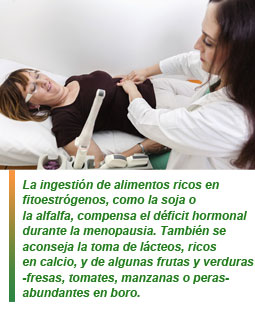 menopausia y alimentación