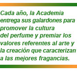 Academia del Perfume - Stanpa