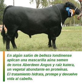 Tratamientos de belleza raros