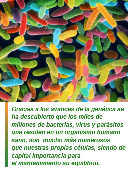 el microbioma