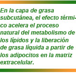 Cincos presentó su equipo Maximus en STS