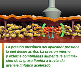 Cincos presentó su equipo Maximus en STS