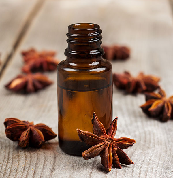 Cosmética ayurvédica, el poder de las esencias naturales